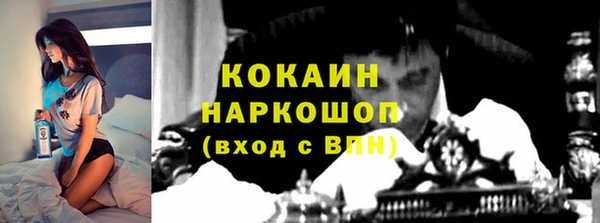 мдпв Бронницы
