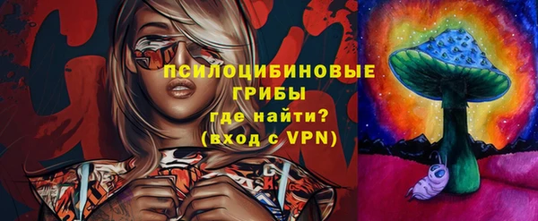 мдпв Бронницы