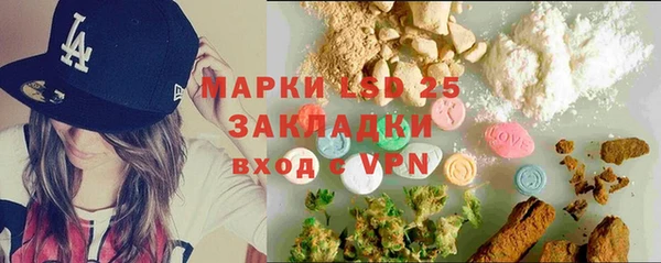 гидропоника Горнозаводск