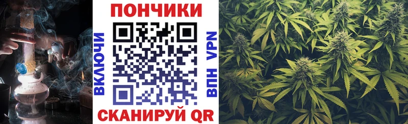 Конопля гибрид  Котельниково 
